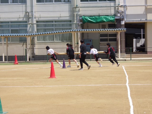 体育