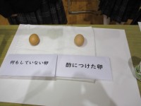 酢を付けて卵がどうなる？