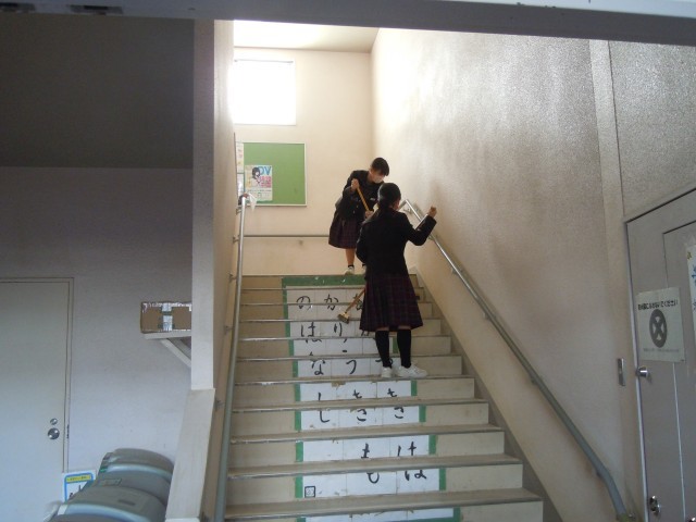 階段もきれいに