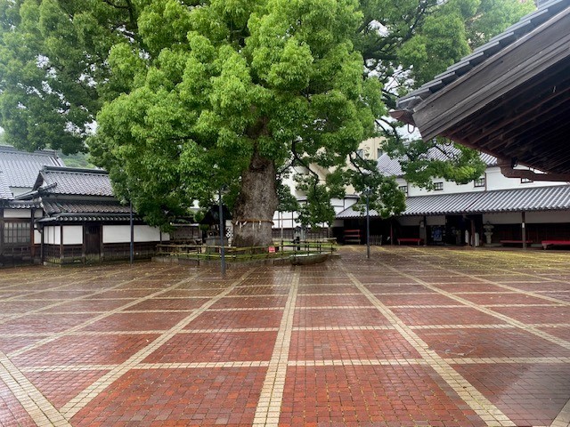 琴平３