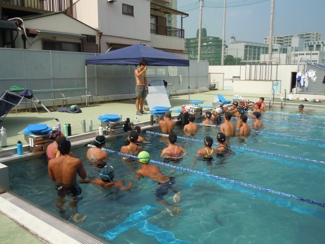 指示中
