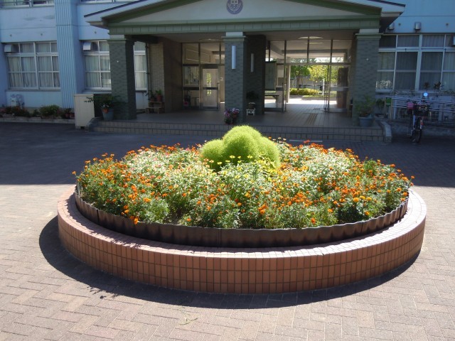 花壇