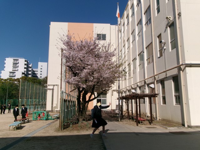 クラス発表をみて教室へ