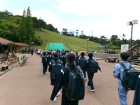 GREENIA