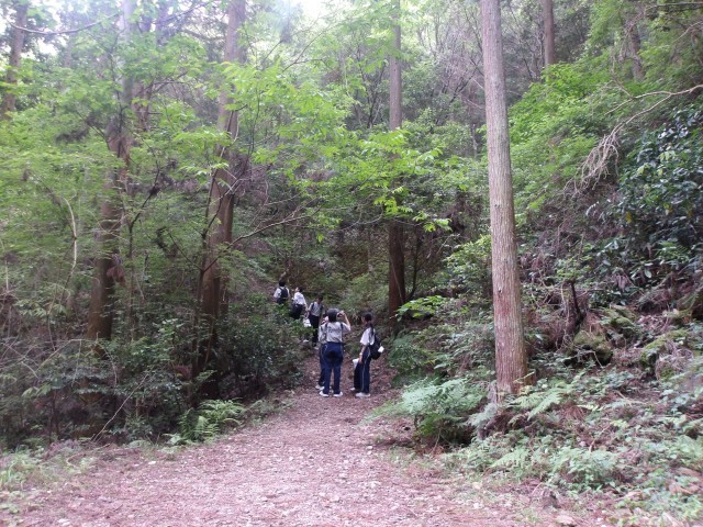 オリエンテーリング　山中